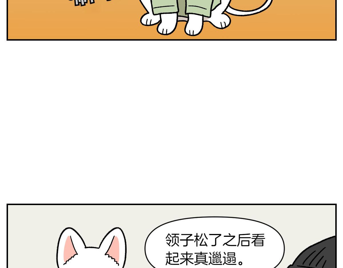 第55话 鼠鼠棉花(1/2)-第123话