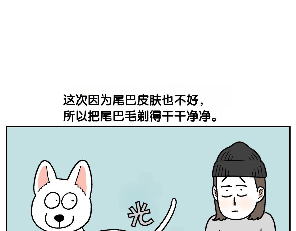 第55话 鼠鼠棉花(1/2)-第123话