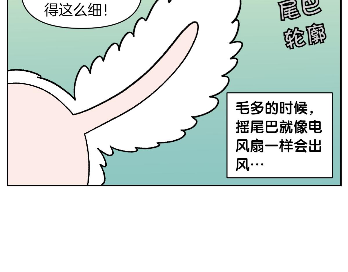 第55话 鼠鼠棉花(1/2)-第123话