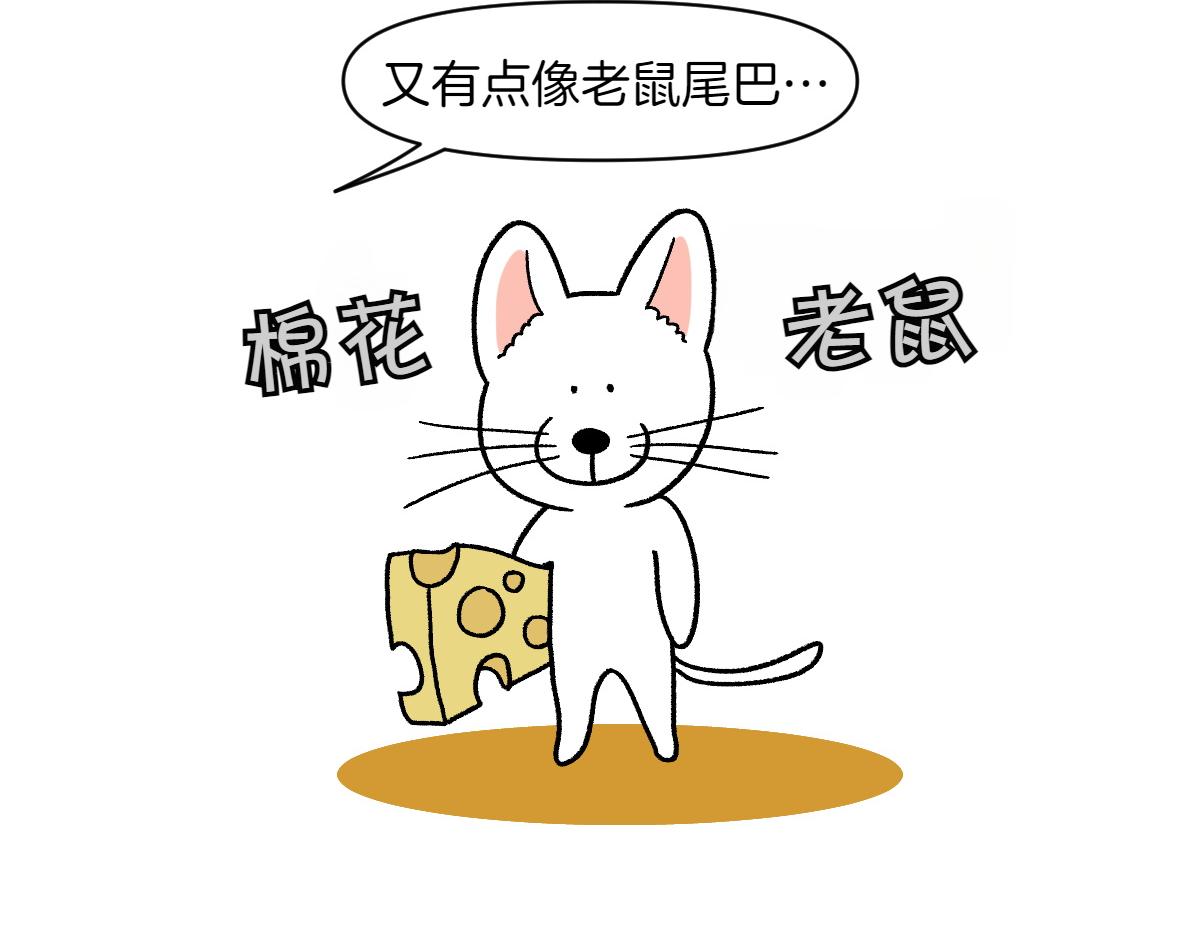 第55话 鼠鼠棉花(1/2)-第123话