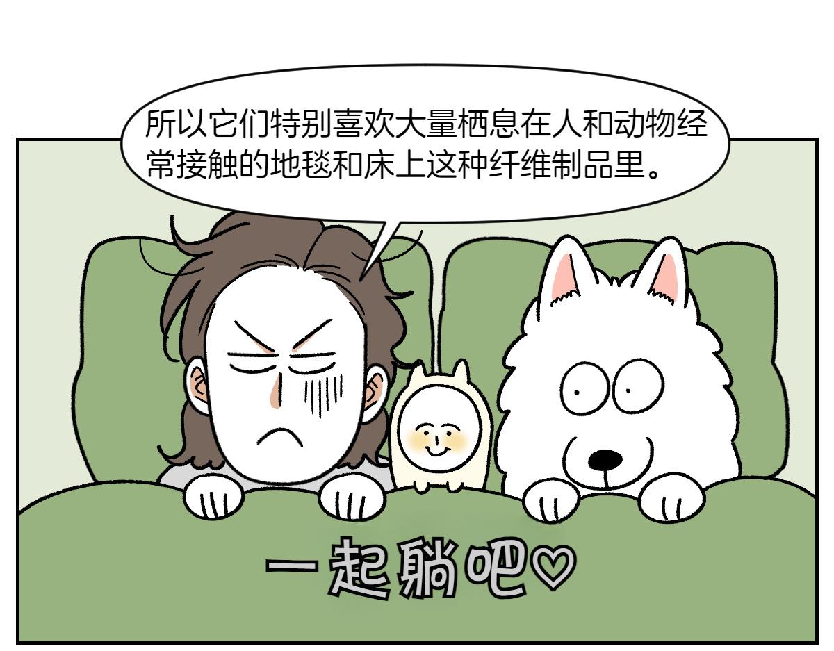 第57话 消灭家里的灰尘(1/2)-第125话