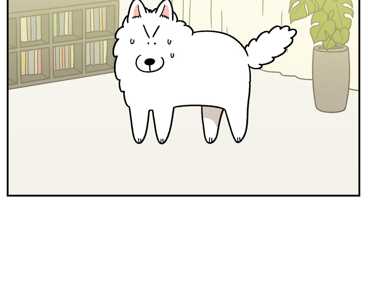 第59话 狗狗拉屎大王-第127话