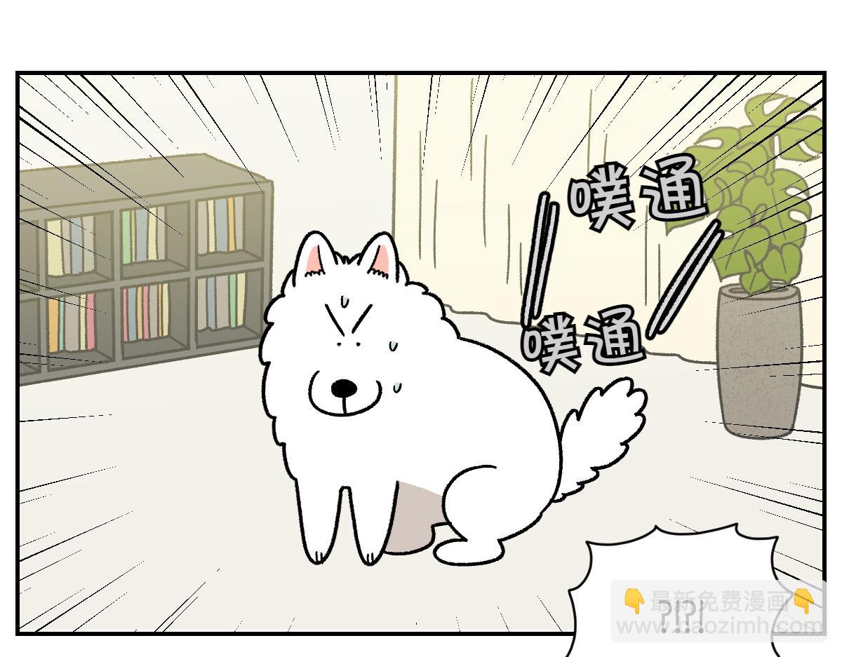 第59话 狗狗拉屎大王-第127话