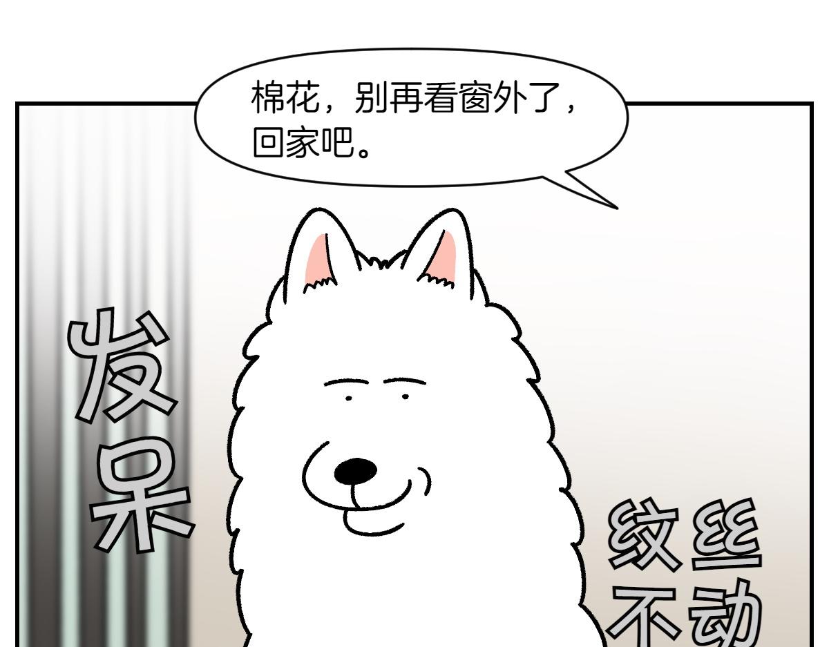 第61话 台阶和狗(1/2)-第129话