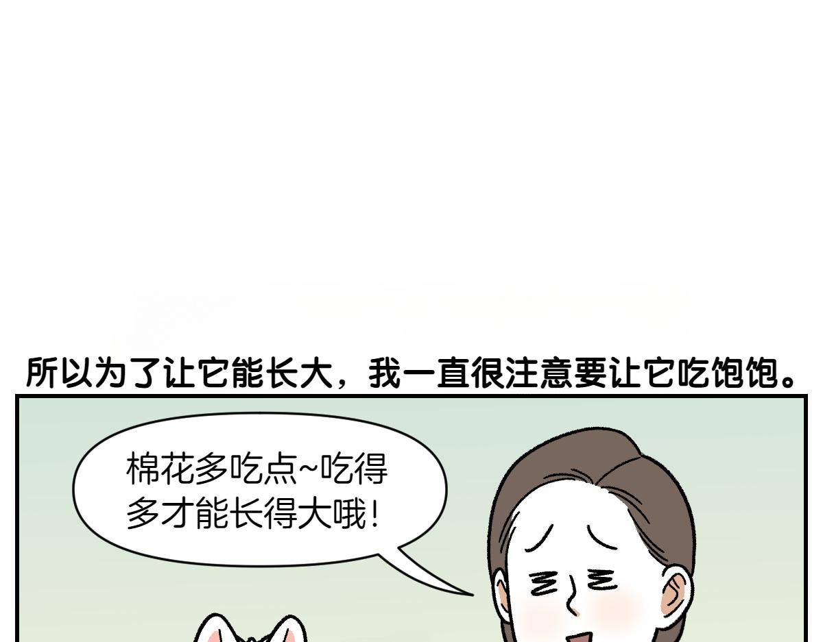 第65话 成了贪吃狗的棉花-第133话