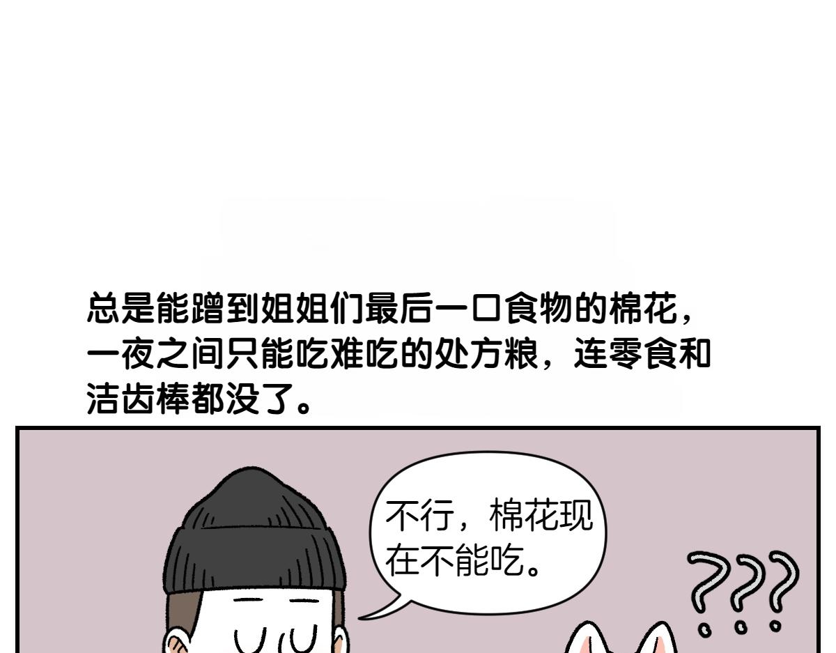 第65话 成了贪吃狗的棉花-第133话
