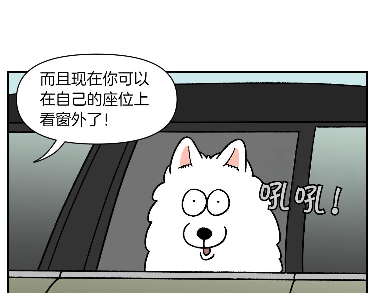 第67话 后座车窗-第135话