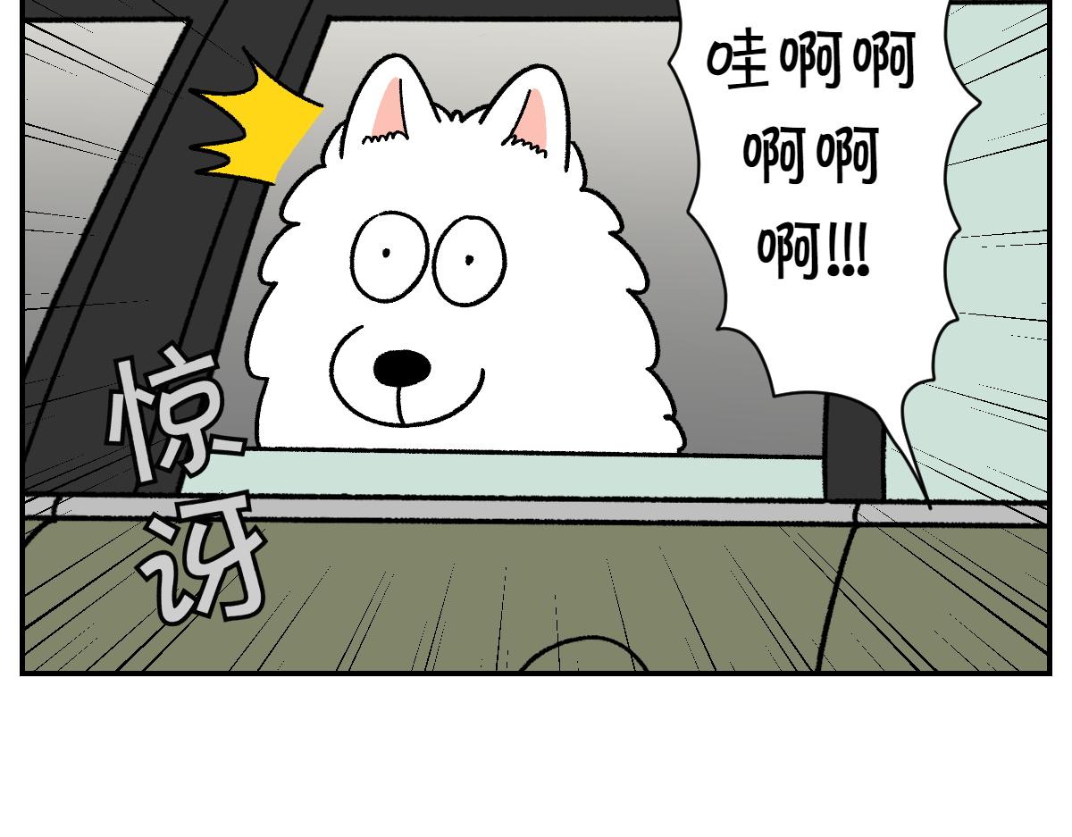 第67话 后座车窗-第135话