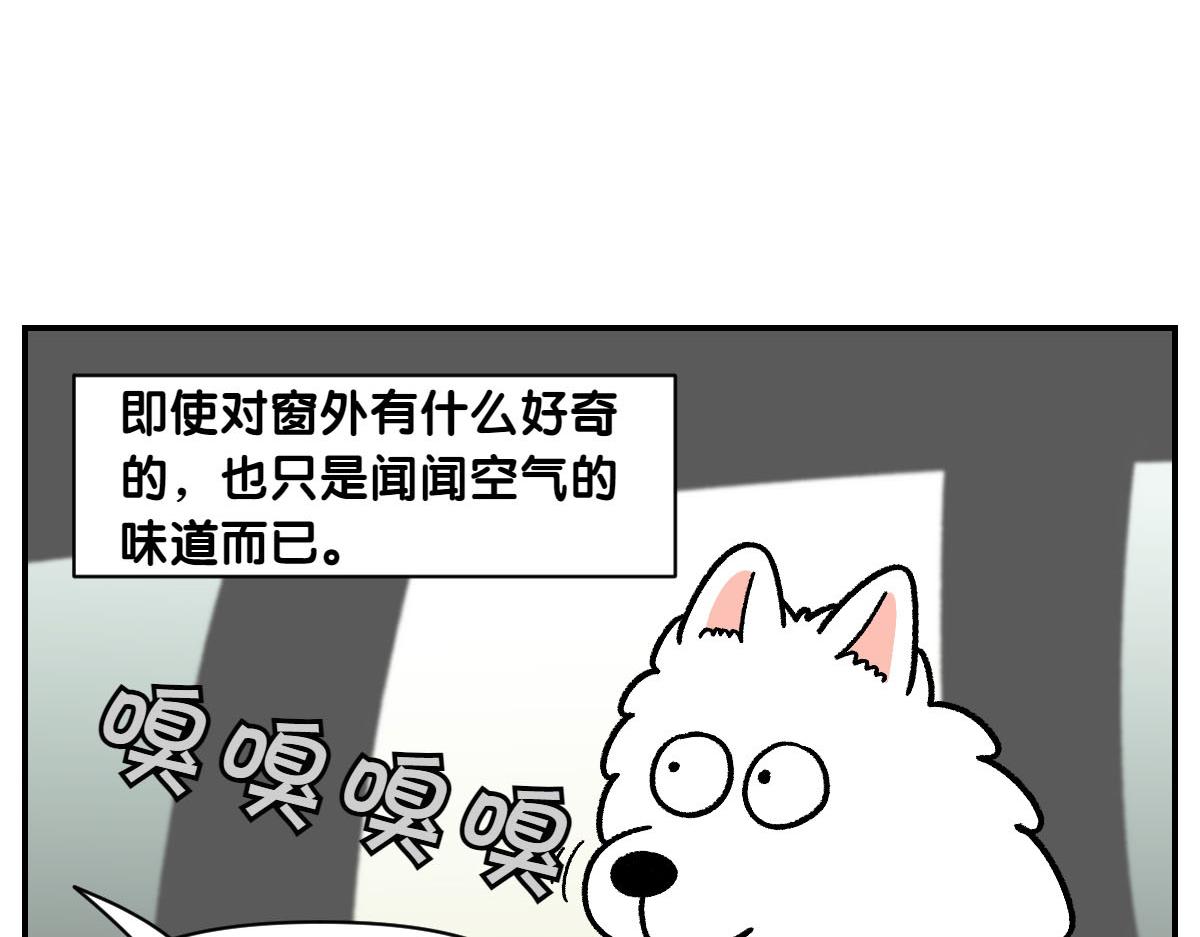 第67话 后座车窗-第135话