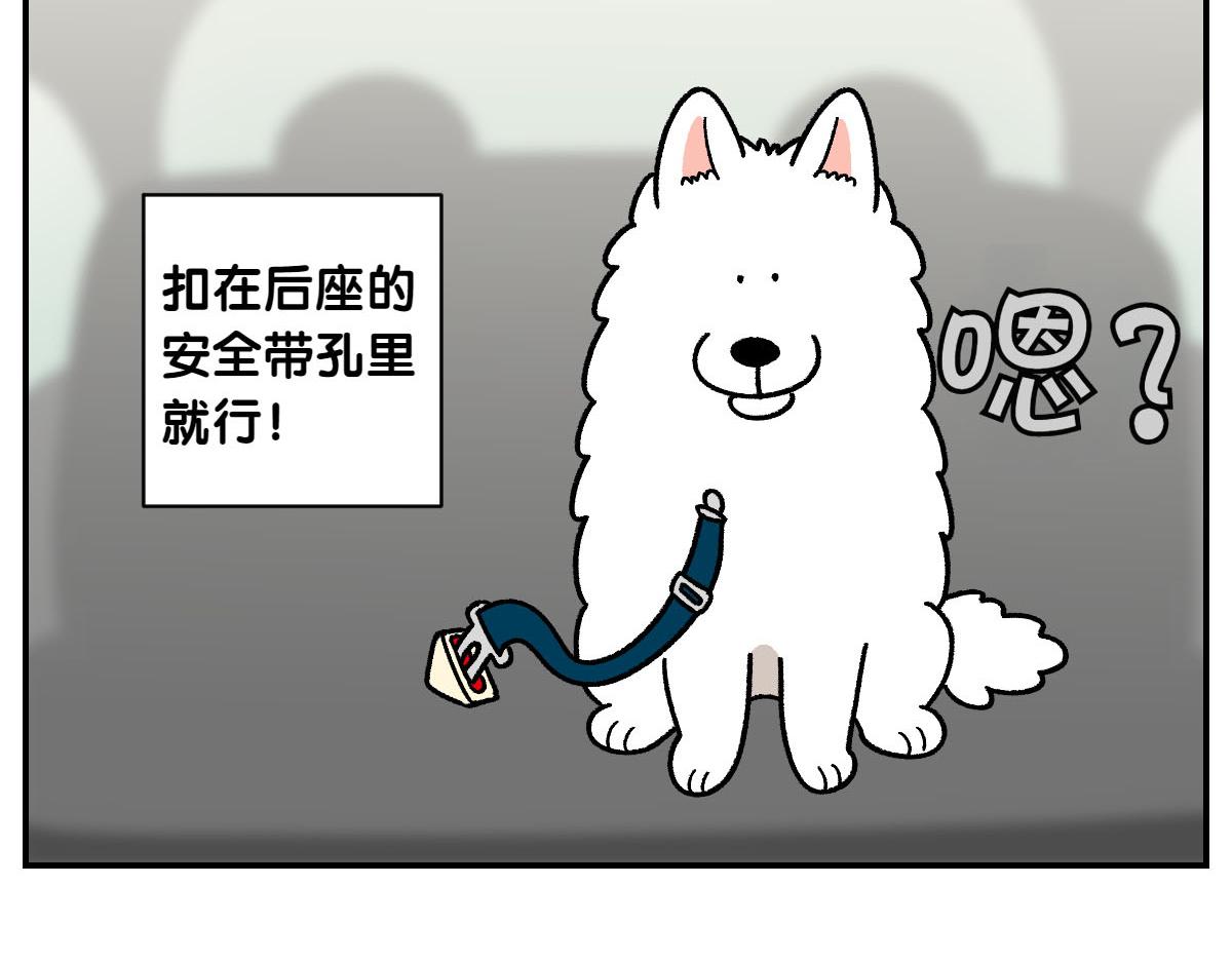 第67话 后座车窗-第135话