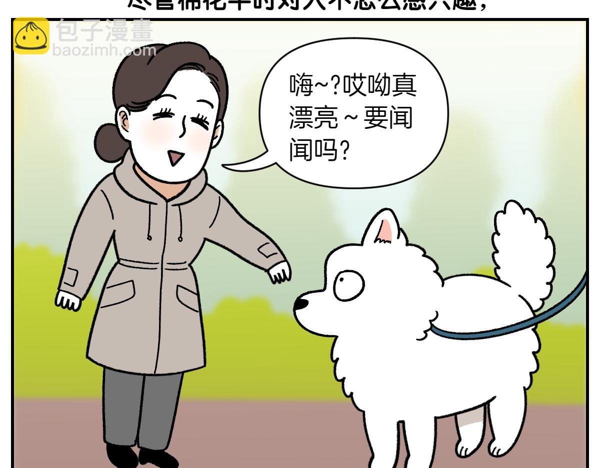 第69话 只喜欢女生的狗狗(1/2)-第137话
