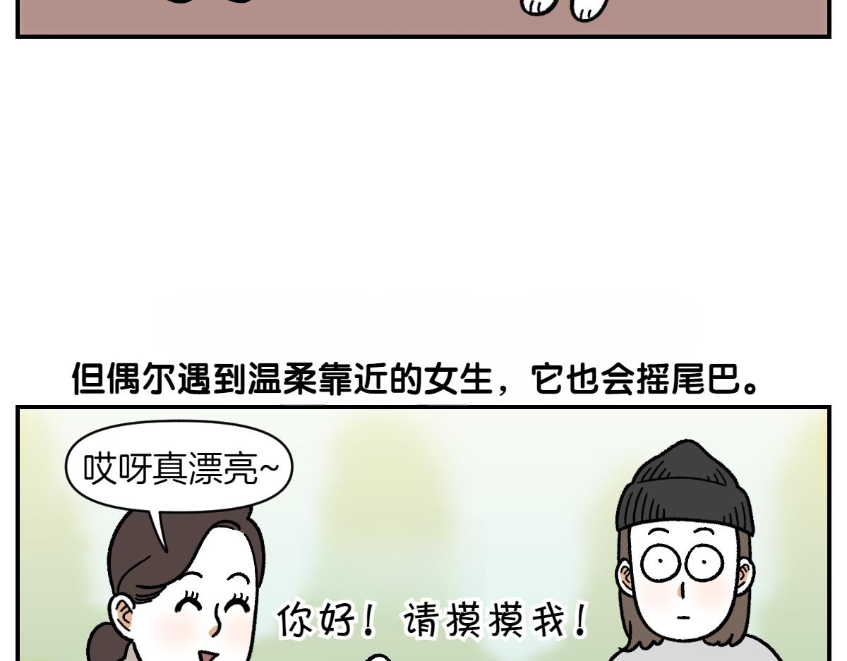 第69话 只喜欢女生的狗狗(1/2)-第137话