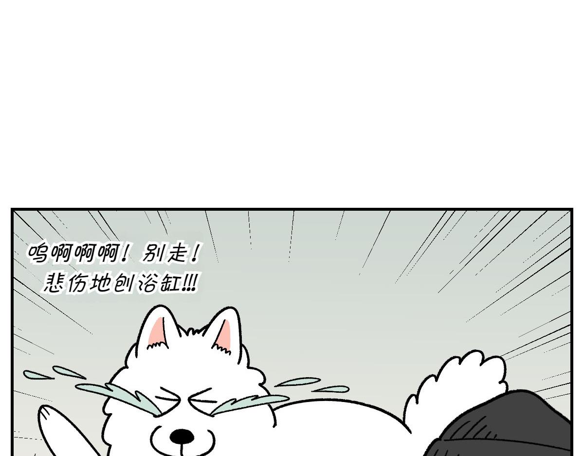 第71话 害怕打雷的狗(1/2)-第139话
