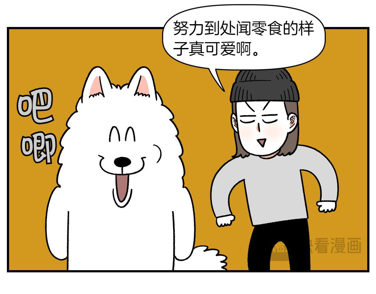 第77话 接收零食-第145话