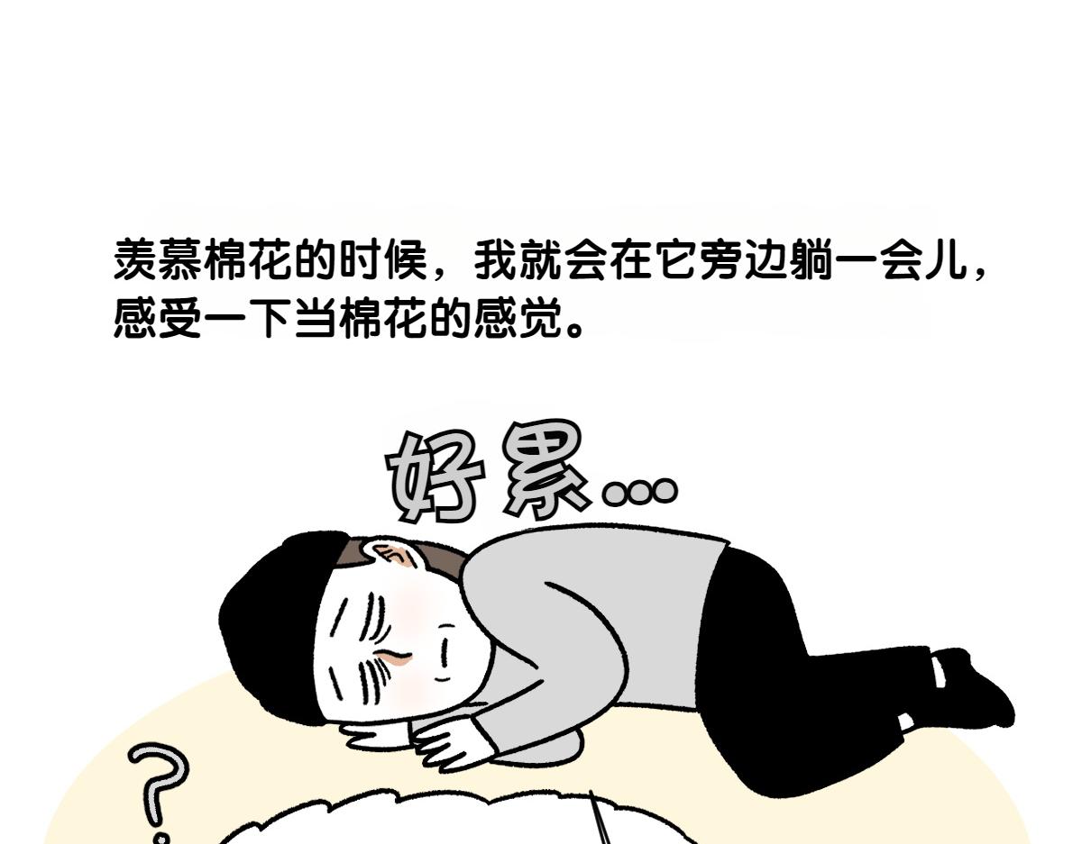 第80话 早晚都在睡觉的狗-第149话