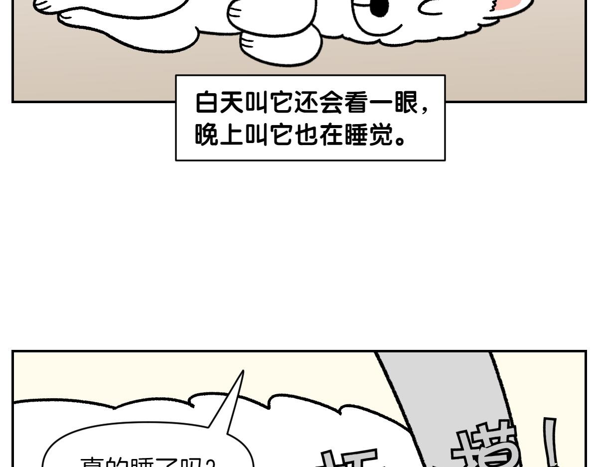 第80话 早晚都在睡觉的狗-第149话
