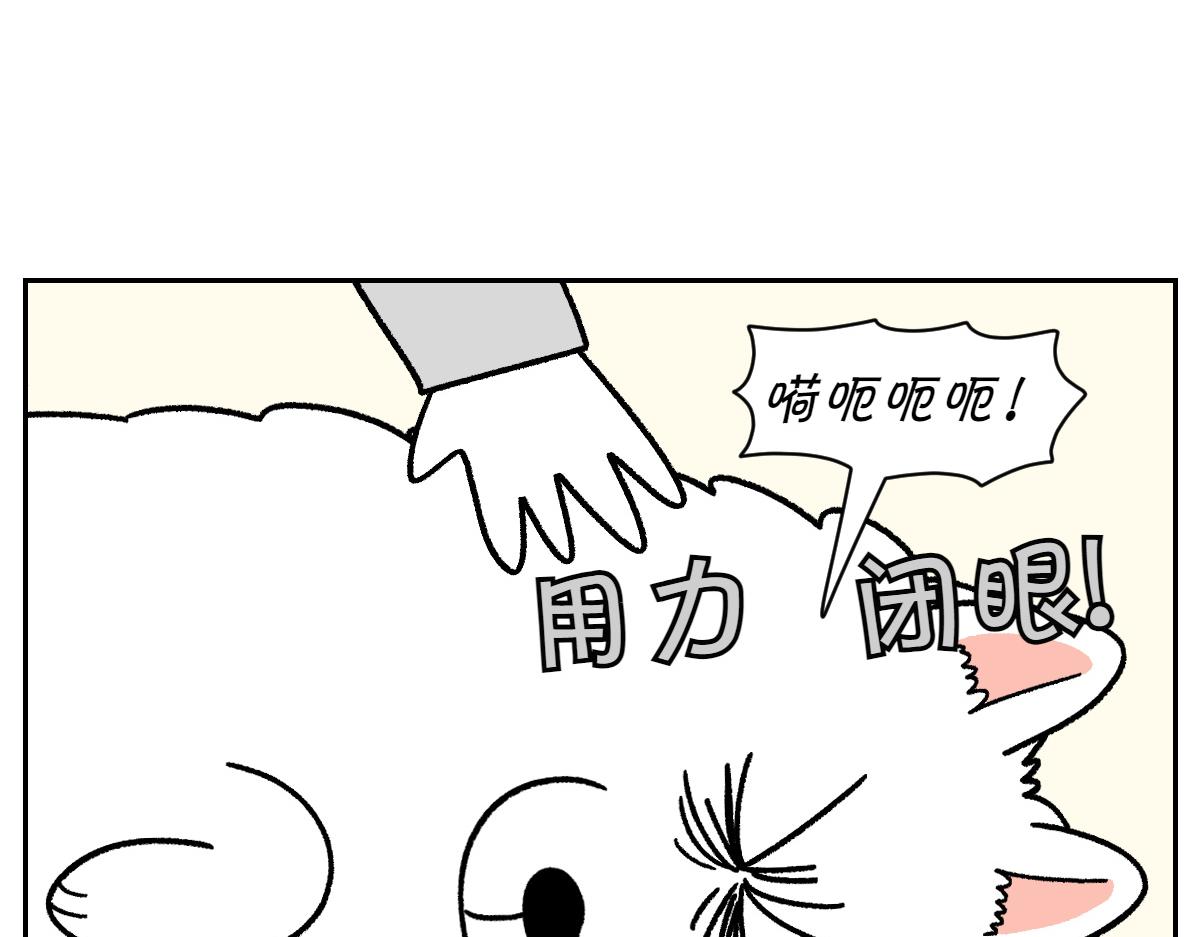 第80话 早晚都在睡觉的狗-第149话