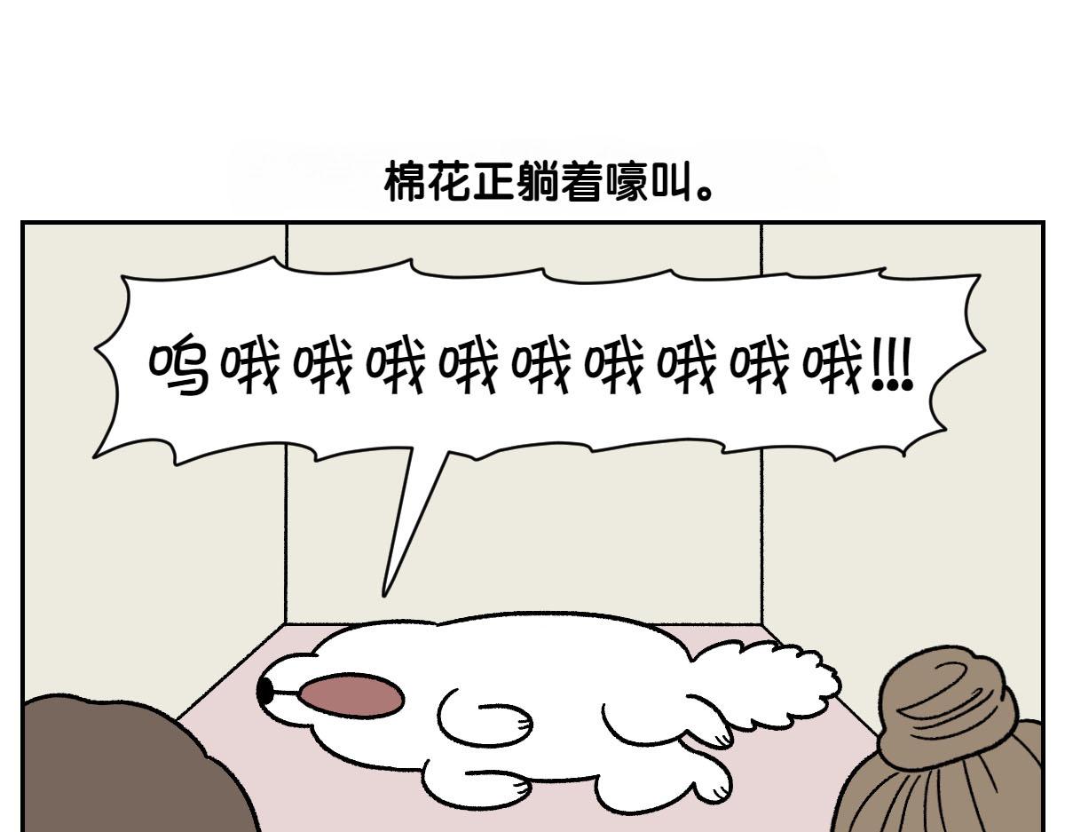 第80话 早晚都在睡觉的狗-第149话