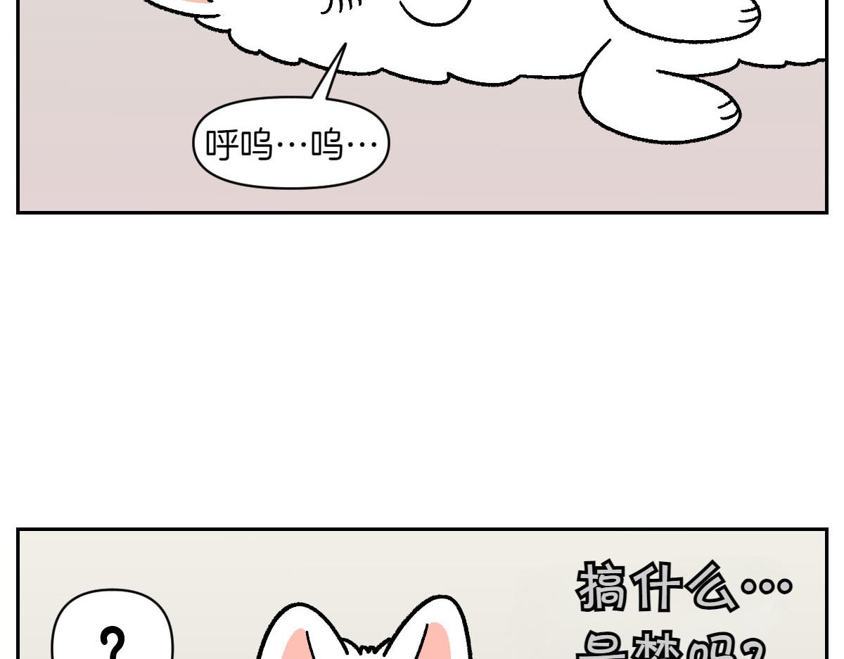 第80话 早晚都在睡觉的狗-第149话