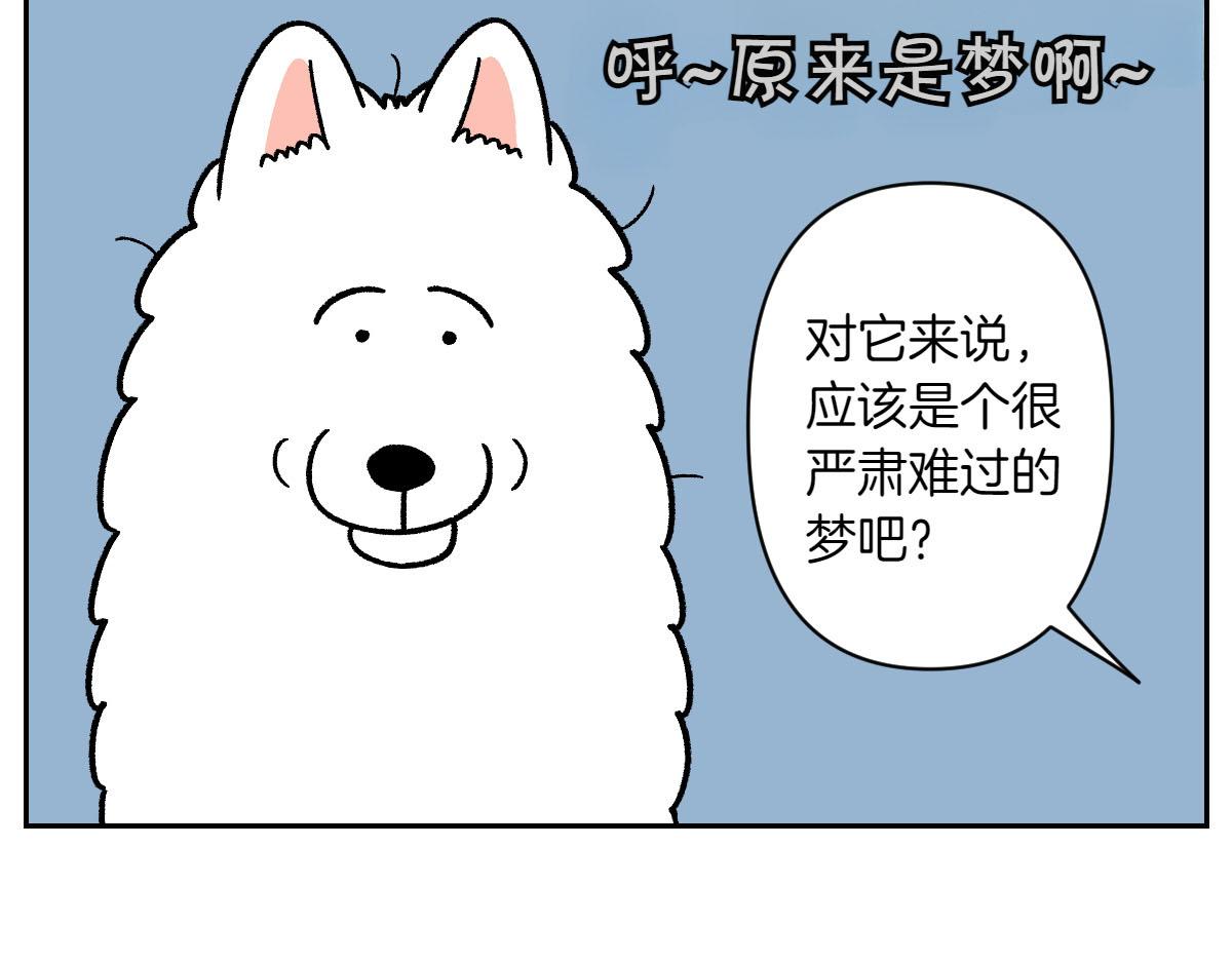第80话 早晚都在睡觉的狗-第149话