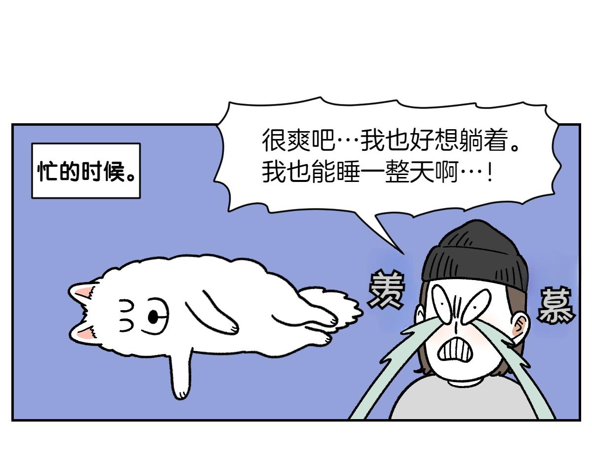 第80话 早晚都在睡觉的狗-第149话