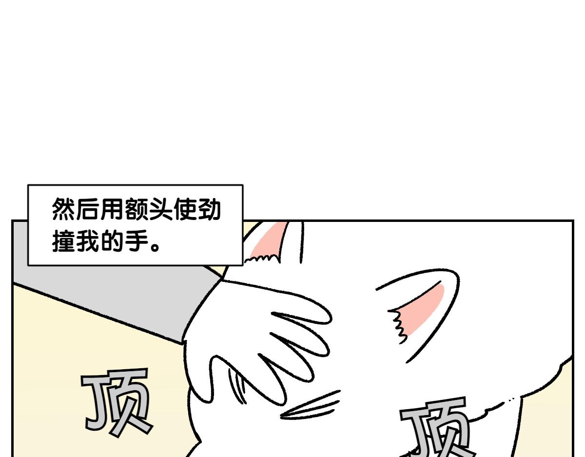 第82话 摸摸时间(1/2)-第151话