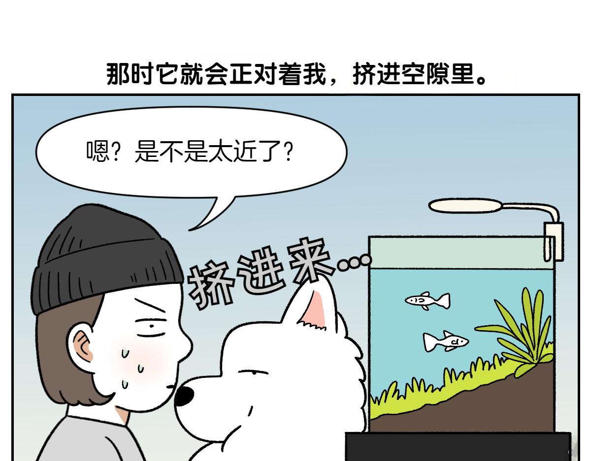 第82话 摸摸时间(1/2)-第151话