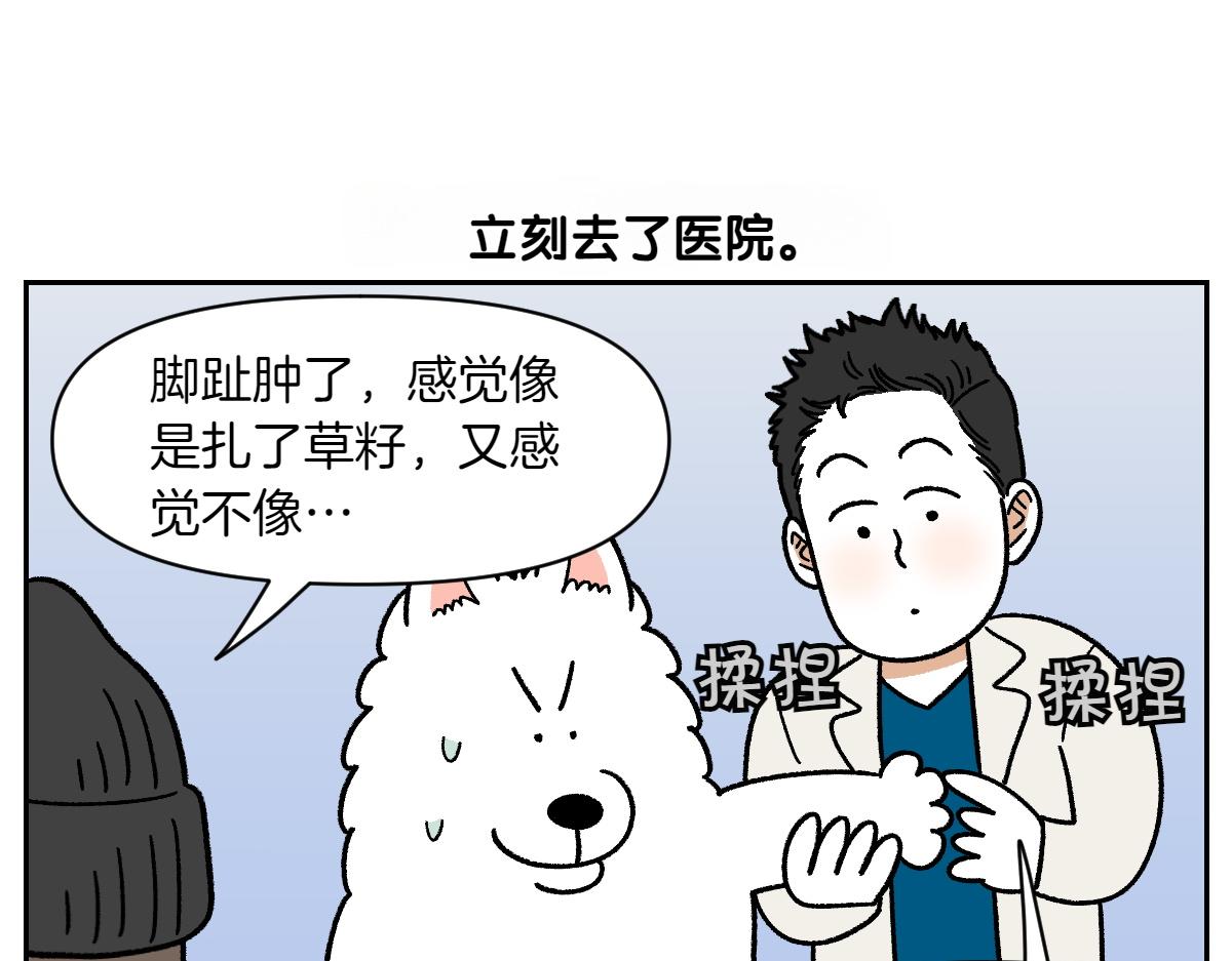 第84话 坏种子事件-第153话