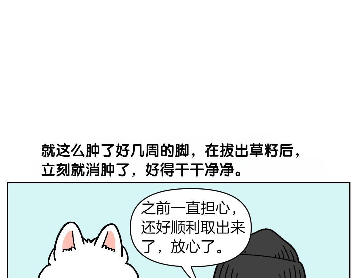 第84话 坏种子事件-第153话