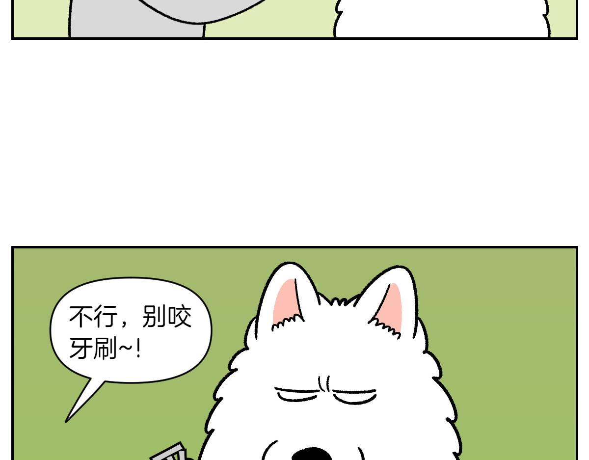 第88话 牙齿管理-第157话