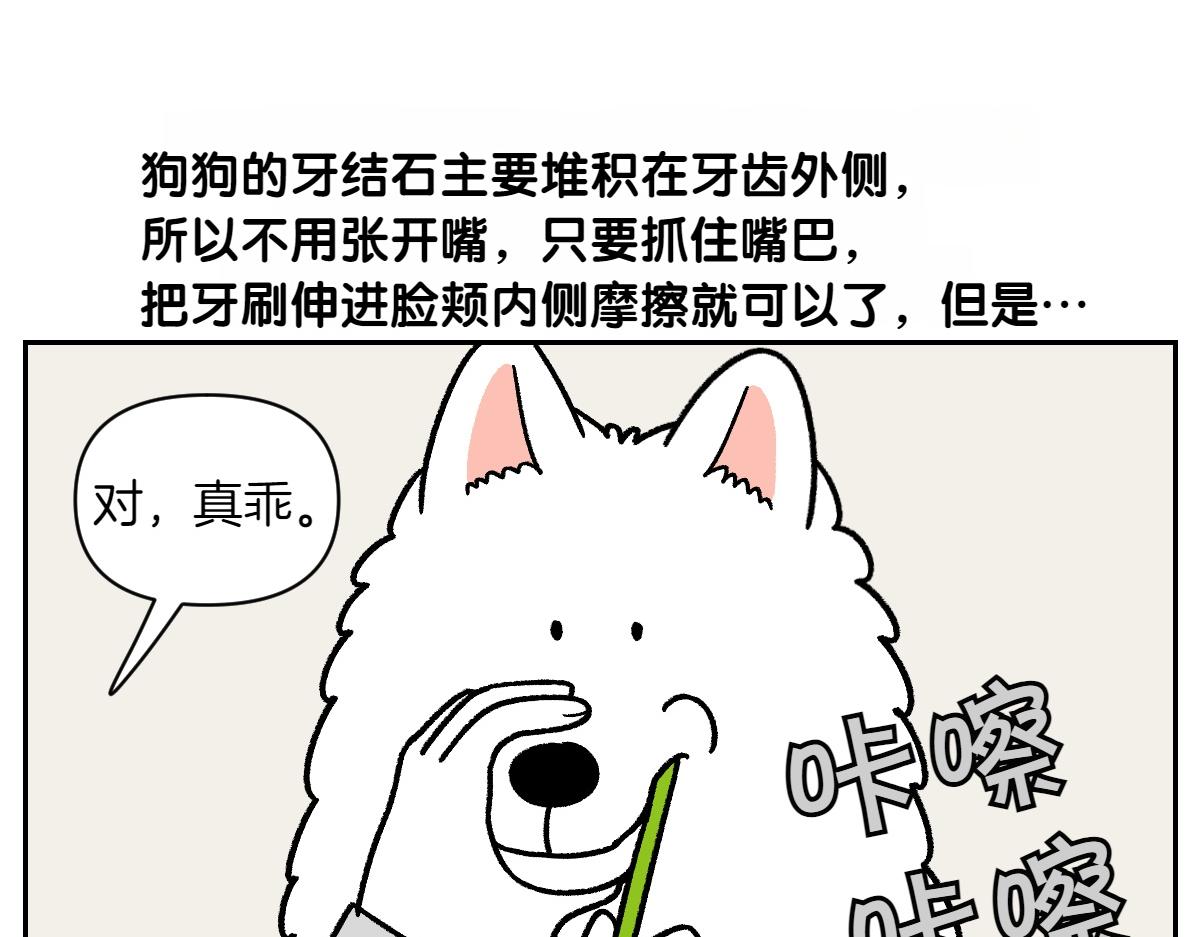第88话 牙齿管理-第157话