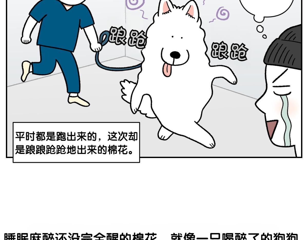 第88话 牙齿管理-第157话
