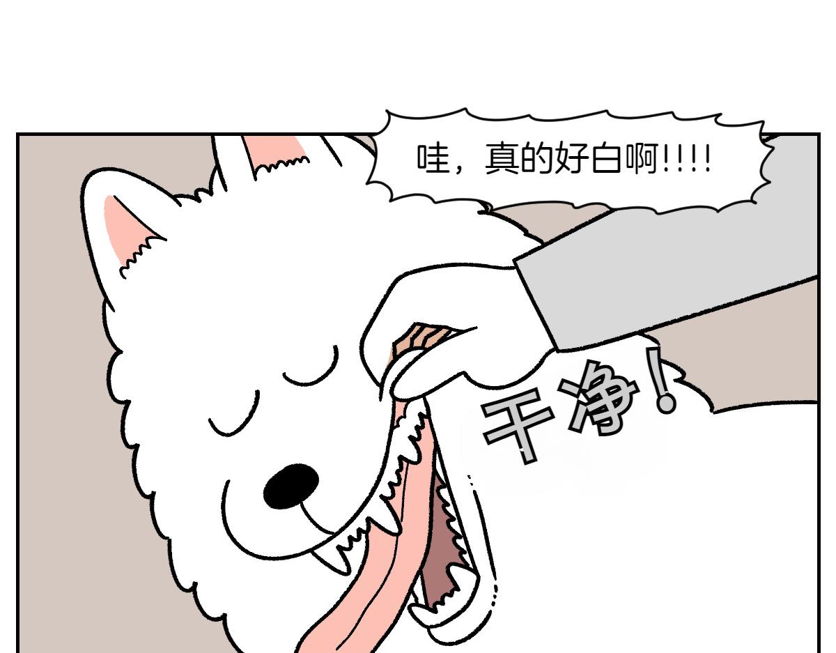 第88话 牙齿管理-第157话