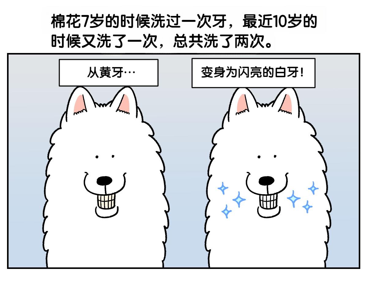 第88话 牙齿管理-第157话