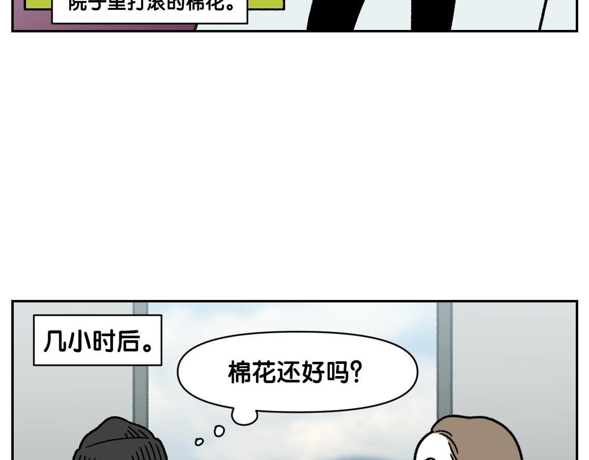 第90话 旅行和棉花(1/2)-第159话