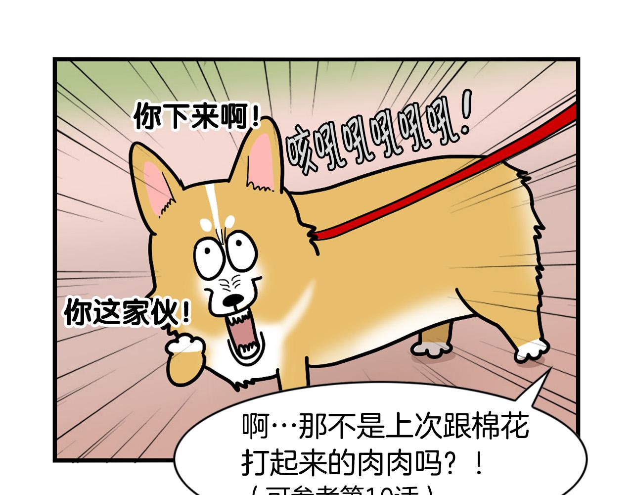 第16话 大狗的软肋(1/3)-第17话