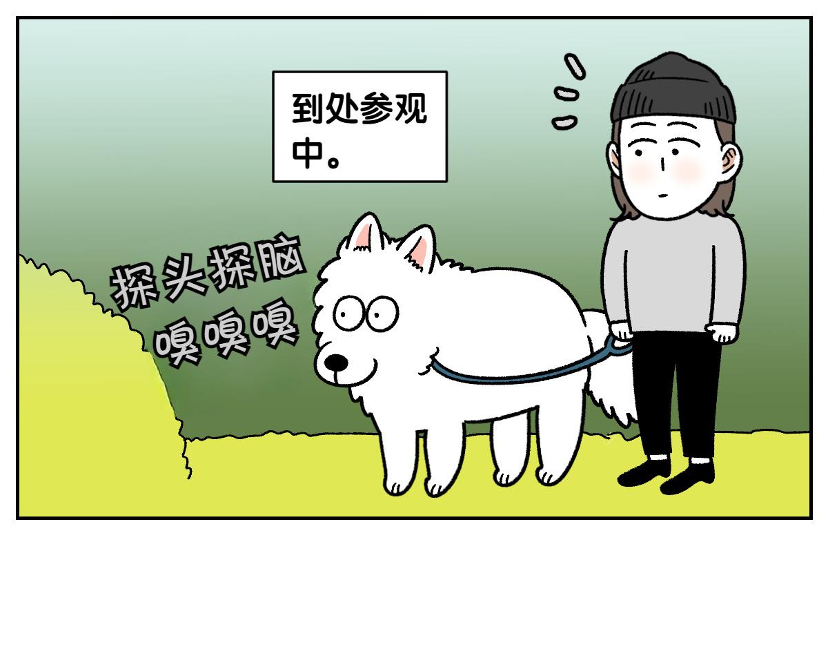 第92话 爬山-第161话