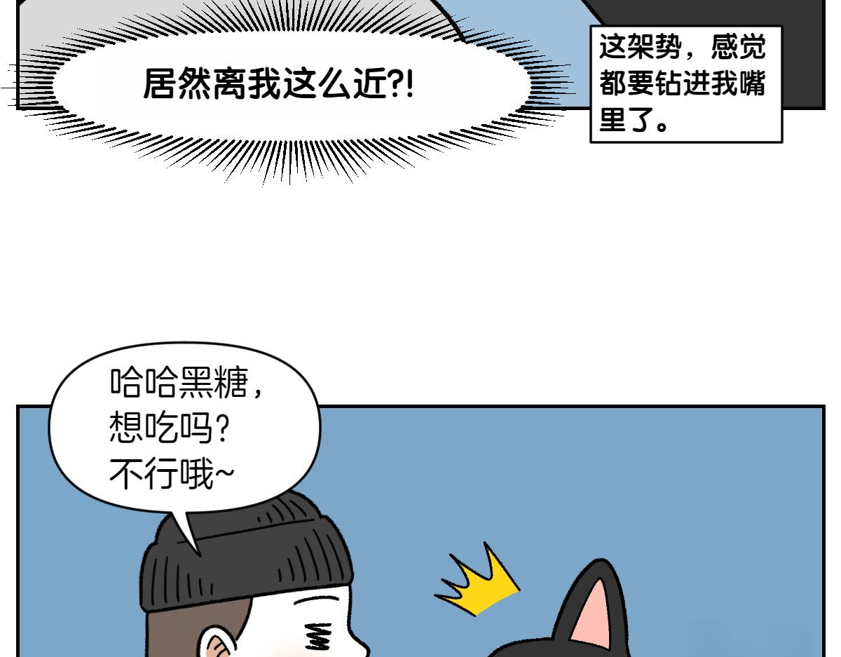 第94话 名犬黑糖(1/2)-第163话