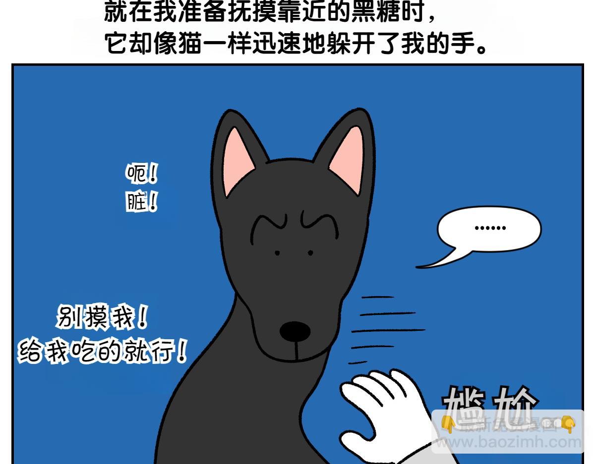 第94话 名犬黑糖(1/2)-第163话