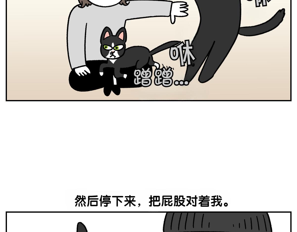 第94话 名犬黑糖(1/2)-第163话