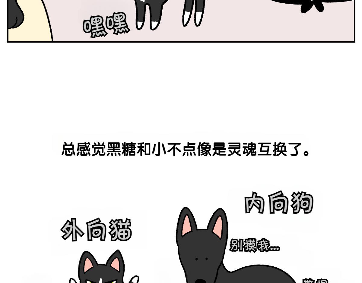 第94话 名犬黑糖(1/2)-第163话