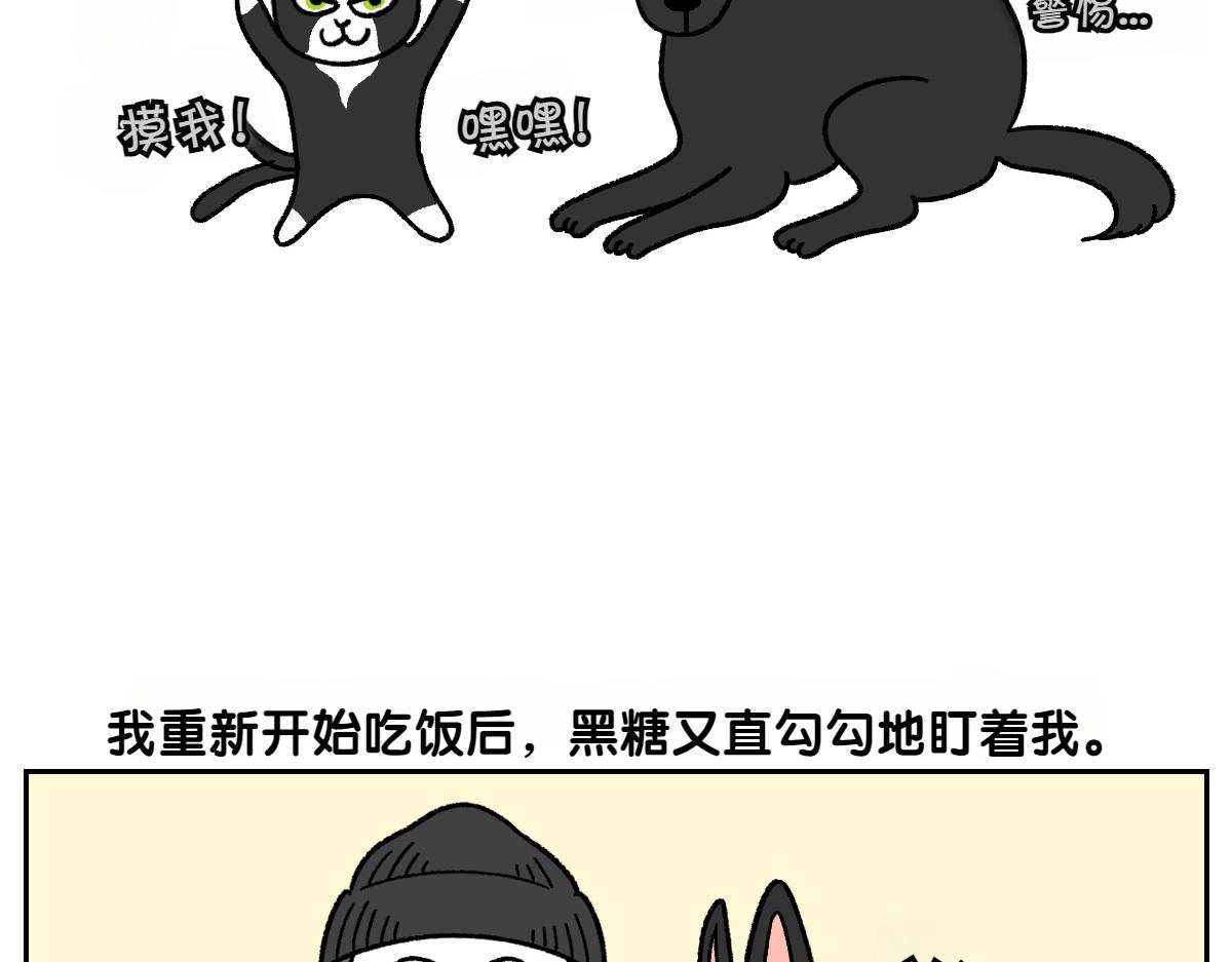 第94话 名犬黑糖(1/2)-第163话