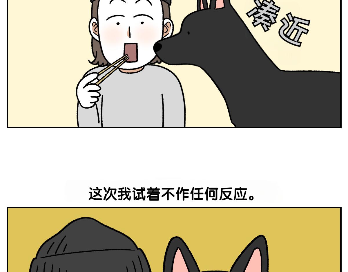 第94话 名犬黑糖(1/2)-第163话