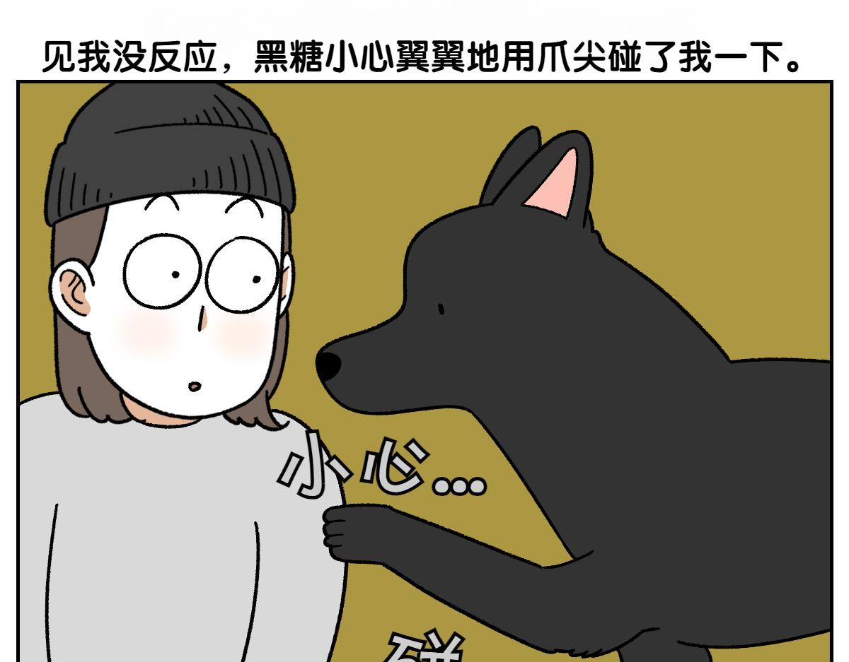 第94话 名犬黑糖(1/2)-第163话