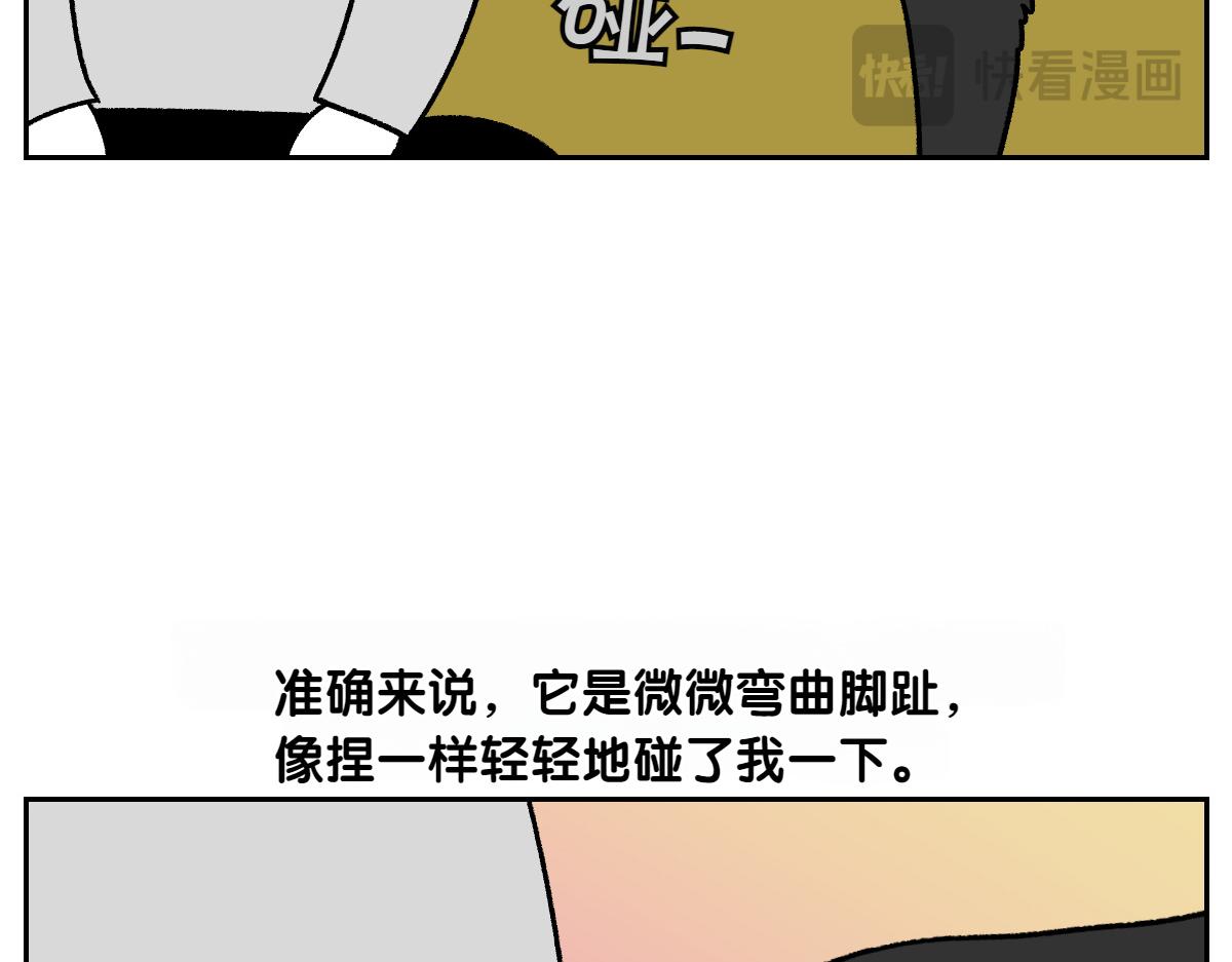 第94话 名犬黑糖(1/2)-第163话