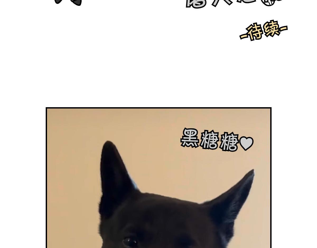 第94话 名犬黑糖(1/2)-第163话