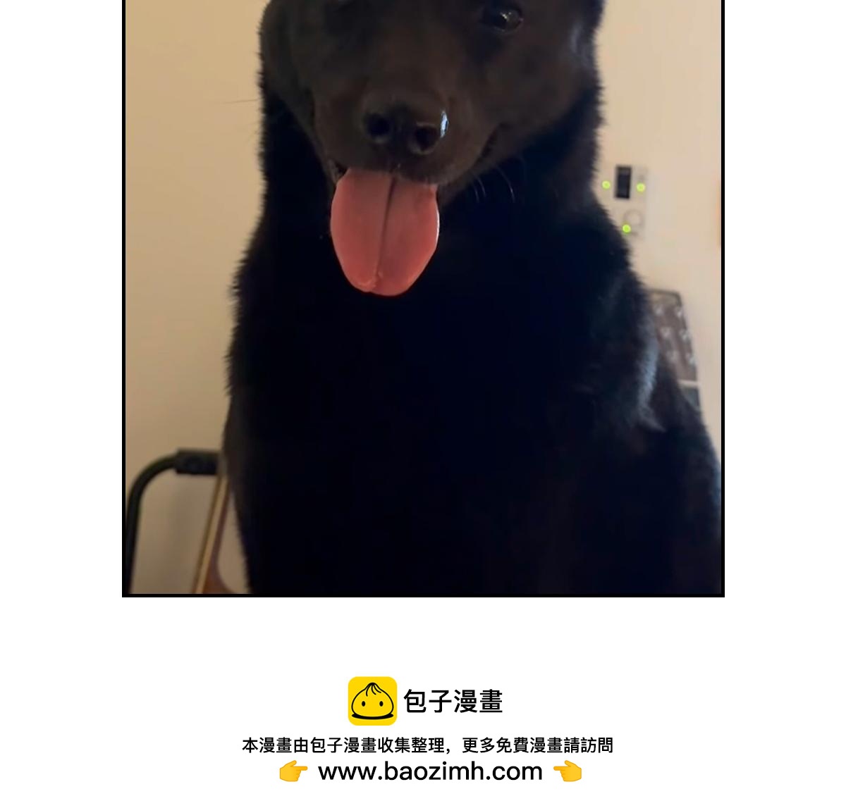 第94话 名犬黑糖(1/2)-第163话