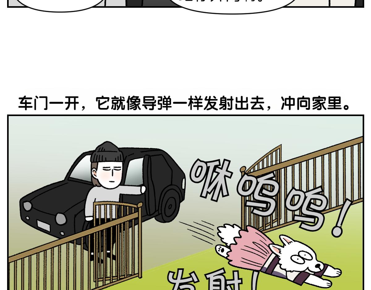 第96话 公主狗狗-第165话