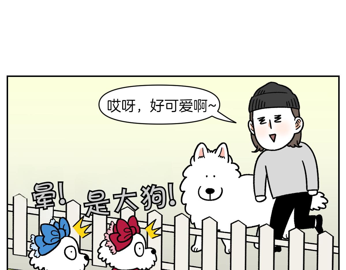 第96话 公主狗狗-第165话