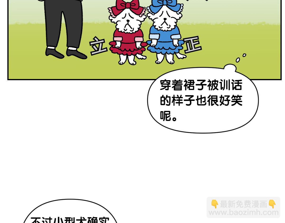 第96话 公主狗狗-第165话